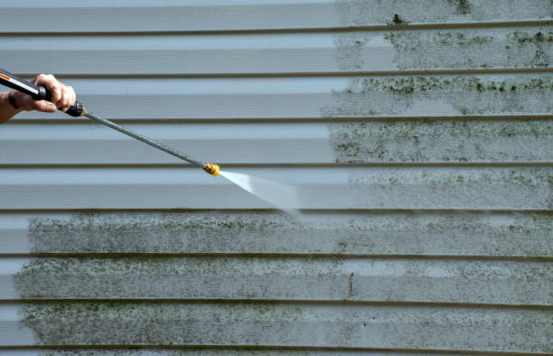 Best Roof Pressure Washing  in Mexico Beach, FL