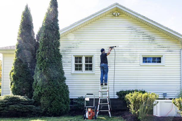 Best Residential Pressure Washing Services  in Mexico Beach, FL